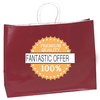 Large Gloss Kraft Paper Bag with Twisted Paper Handle in 100 GSM