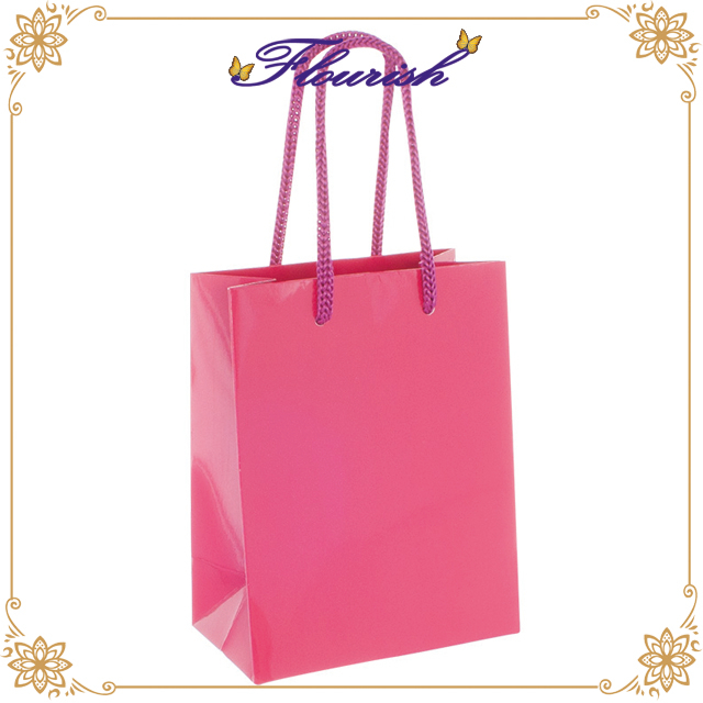 Coated Ladies Shopping Wrapping Cardboard Paper Hand Bag 