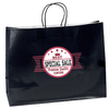 Large Gloss Kraft Paper Bag with Twisted Paper Handle in 100 GSM