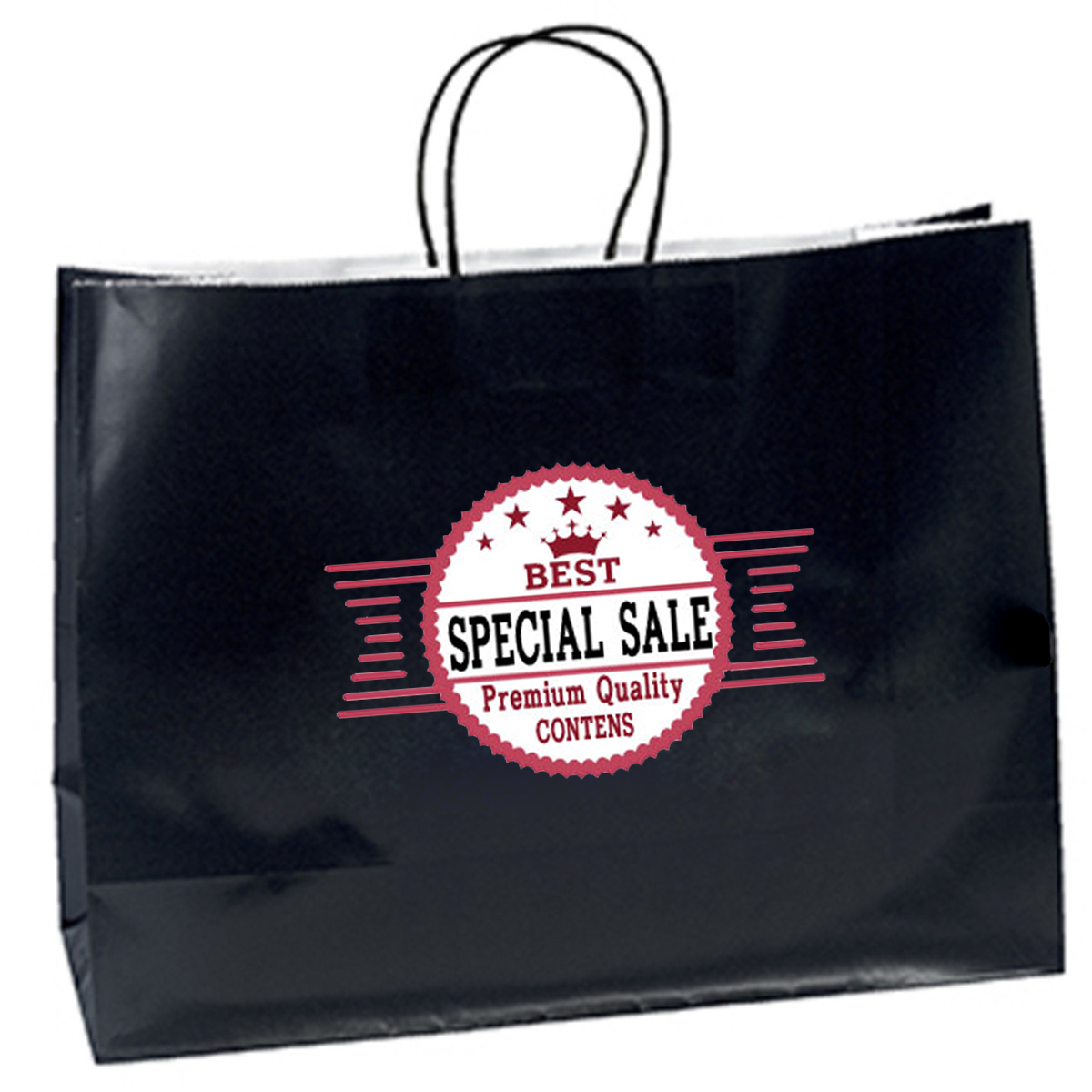 Large Gloss Kraft Paper Bag with Twisted Paper Handle in 100 GSM