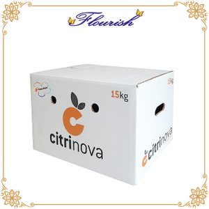 White Corrugated Board Vegetable And Fruit Shipping Packaging Carton Box 