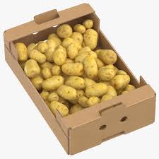 Brown Color Corrugated Paper Box for Fruit Packaging