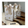 Printed White Apparel Packaging Vogue Bag
