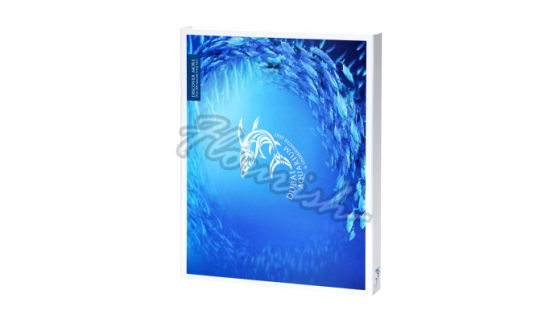 Promotional Elegant Blue Square Cardboard Perfume Box