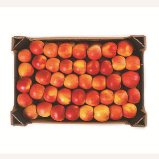 Custom Corrugated Cardboard Be B C E Flute Cherry Cherries Citrus Pear Orange Apple Banana Eggplant Fruit Vegetable Gift Packaging Packing Carton Box
