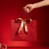 Luxury Shopping Gift Paper Packing Bag Jewelry Clothing Cosmetic Custom Luxury Paper Packaging Bag with Ribbon Handle for Christmas New Year Festival
