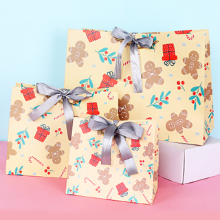  China Wholesales Ribbon Closure Paper Packaging Bag,Luxury Shopping Bags