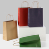 Multicolored Twisted Handle Kraft Paper Packaging Bags