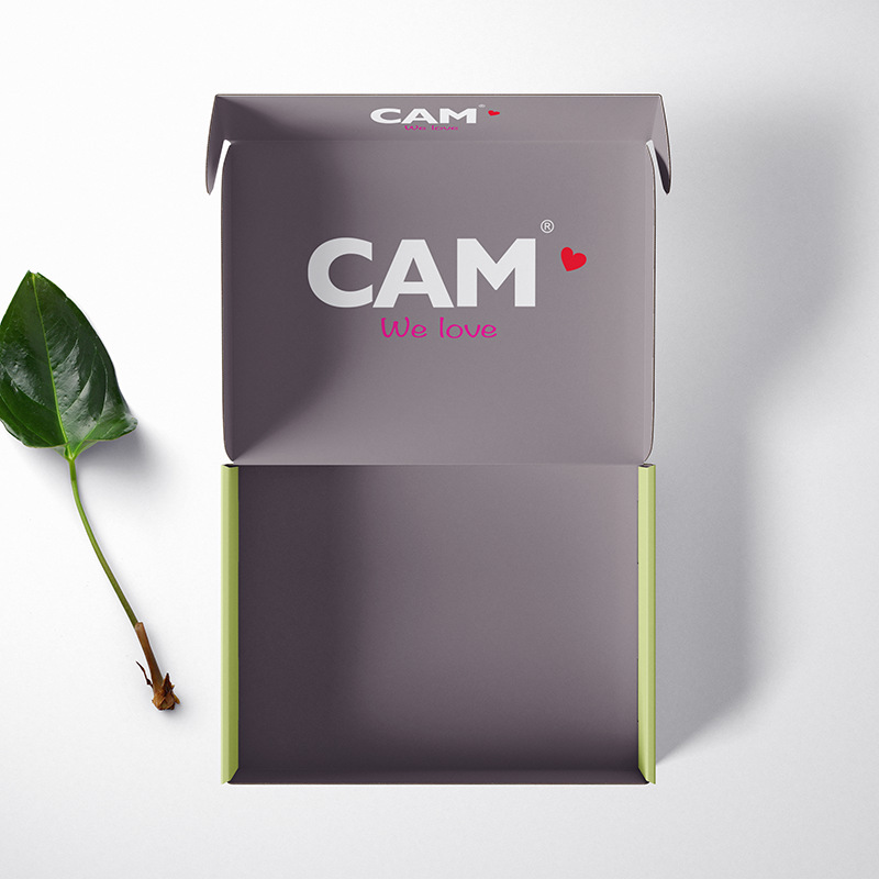 Eco-friendly Recyclable Cardboard Corrugated Paper Packaging Carton Box