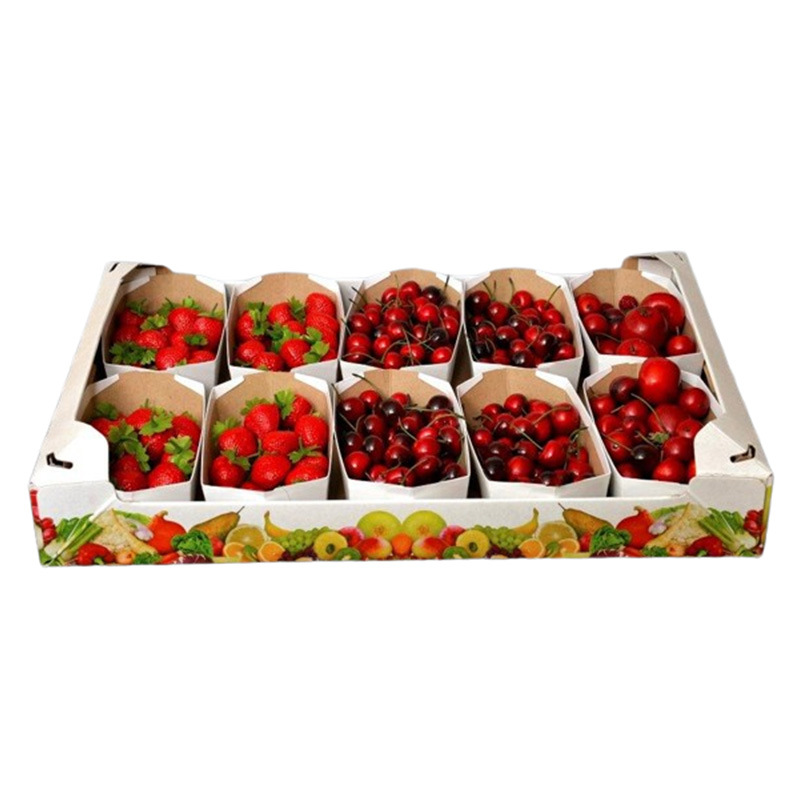 Custom Recyclable Specialized Strong Tomato Orange Apple Cherry Pineapple Grape Avocado Cardboard Corrugated Carton Tray Box for Fresh Vegetable and Fruit