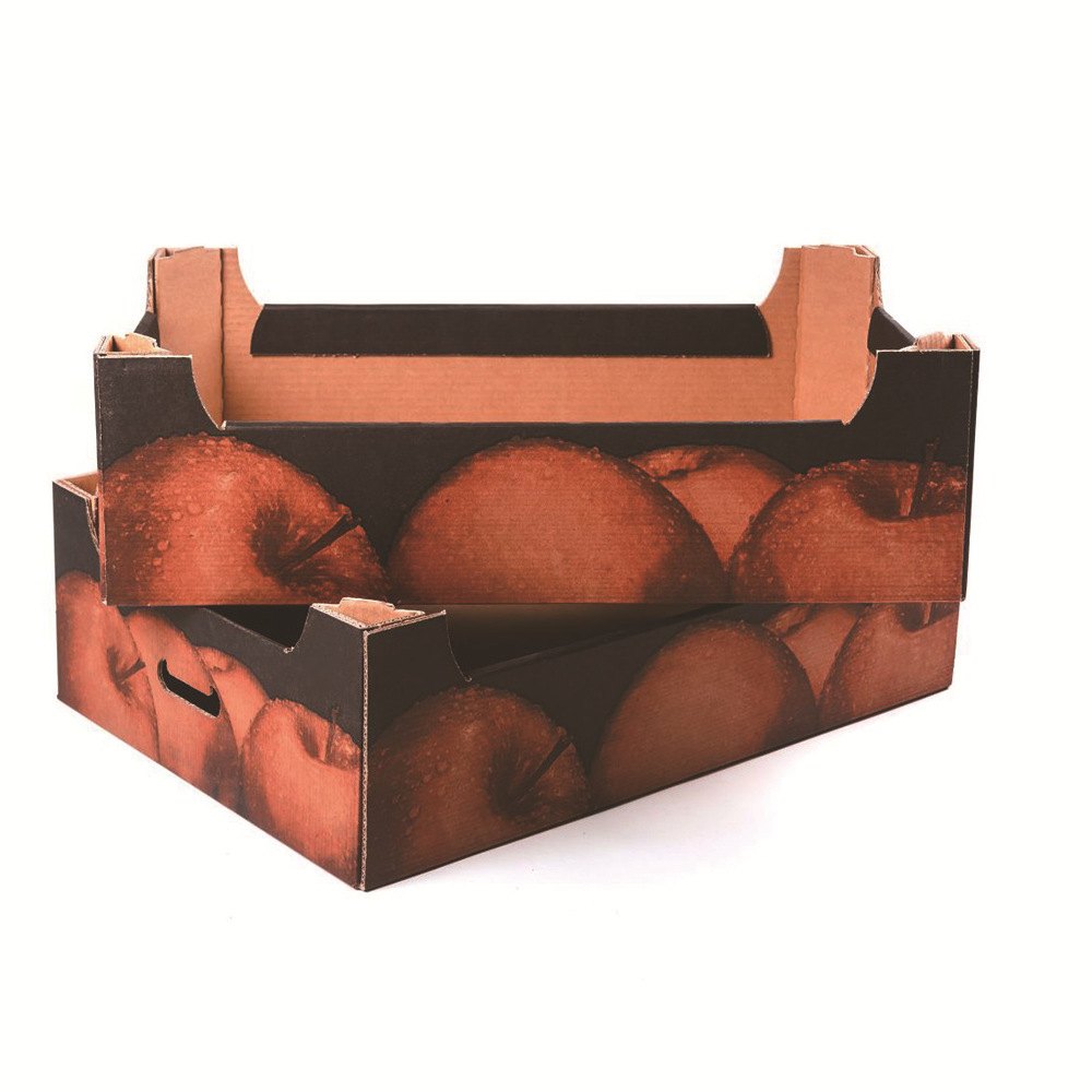 Custom Recyclable Specialized Strong Tomato Orange Apple Cherry Pineapple Grape Avocado Cardboard Corrugated Carton Tray Box for Fresh Vegetable and Fruit