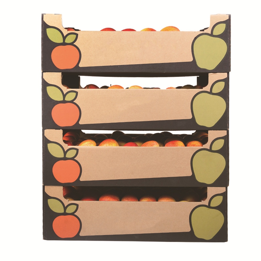 Custom Recyclable Specialized Strong Tomato Orange Apple Cherry Pineapple Grape Avocado Cardboard Corrugated Carton Tray Box for Fresh Vegetable and Fruit