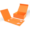 China Manufacturer Wholesale Folding Paper Packaging Carton,Magnetic Gift Box