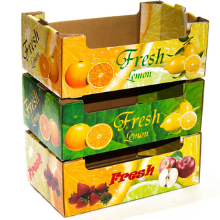 Custom Recyclable Specialized Strong Tomato Orange Apple Cherry Pineapple Grape Avocado Cardboard Corrugated Carton Tray Box for Fresh Vegetable and Fruit